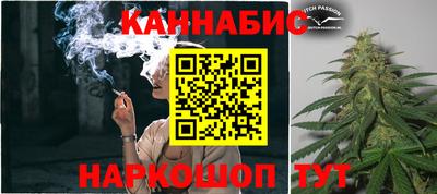стаф Лесосибирск