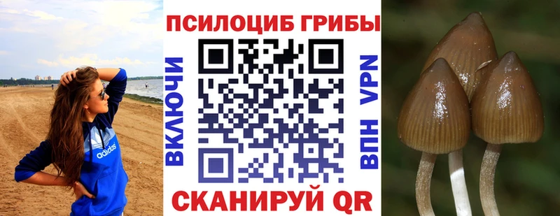 Галлюциногенные грибы прущие грибы  Изобильный 