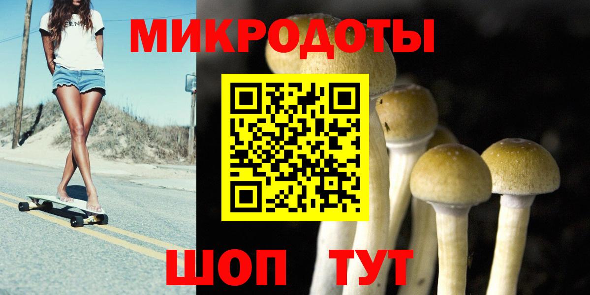 Галлюциногенные грибы MAGIC MUSHROOMS  Вход с VPN  Изобильный 